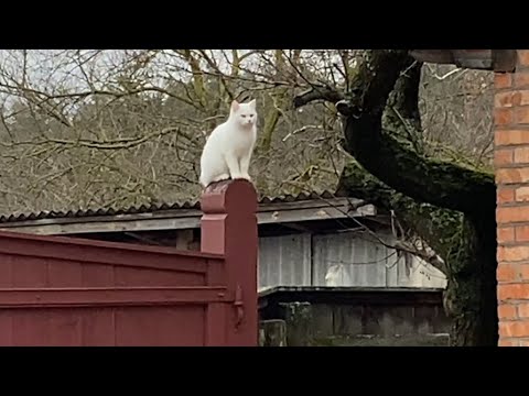 Видео: С освещением всё! Помогите,не знаю как сделать! Их нет потому что есть она! Не верится что так было!