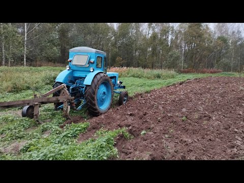 Видео: ВЗЯЛ ПЛУГ У СОСЕДА//РАСШИРЯЮ ОГОРОД. ПОДНИМАЮ ЦЕЛИНУ.