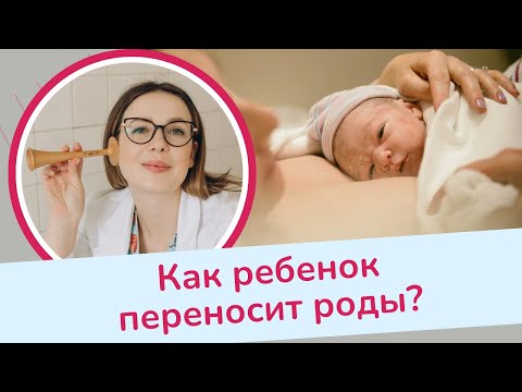 Видео: КАК РЕБЕНОК ПЕРЕНОСИТ РОДЫ? | Виктория Матвиенко