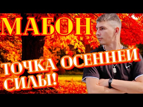 Видео: Почему в этом году особенное ОСЕННЕЕ РАВНОДЕНСТВИЕ? МАБОН 2025 | Колесо года