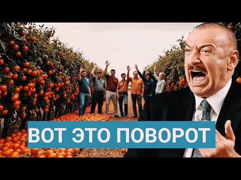 Видео: Азербайджан в ШОКЕ! Цены Обрушились — Города Ликуют, Сёла в Отчаянии!