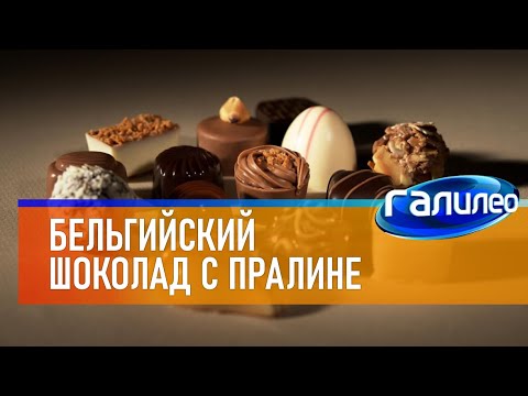 Видео: Галилео 🍫 Бельгийские шоколадные конфеты с пралине