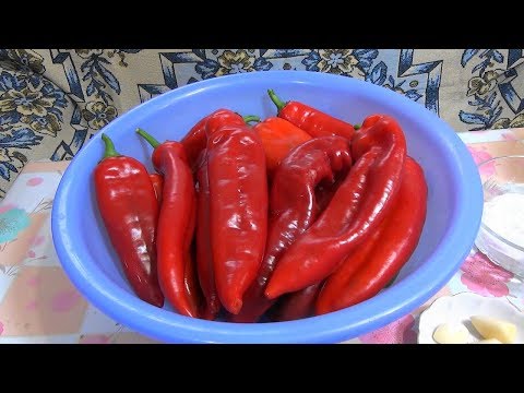 Видео: 🌶️ Как Квасить Сладкий Перец! 🌶️