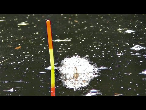 Видео: Ловля подлещика и густеры на течении. Рыбалка на поплавок. Вело-рыбалка. Рыбалка из детства!!!