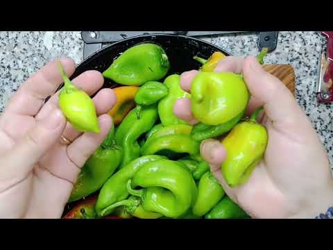 Видео: Любимое блюдо моего турецкого мужа - попробуйте! #asmrfood #cooking #food #рецепт 