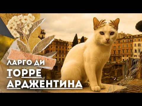 Видео: #19 Ларго Арджентина: КОШАЧИЙ РАЙ на месте, где ЦЕЗАРЯ порезали на салат