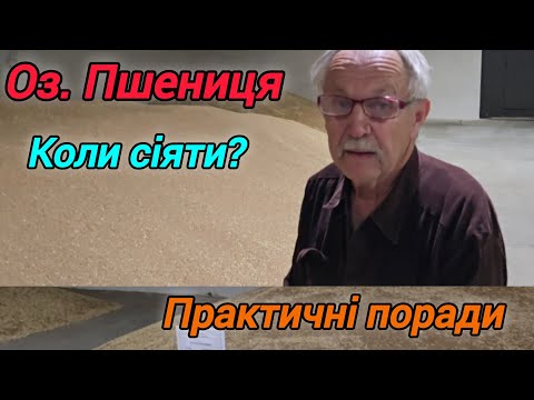 Видео: Сівба пшениці