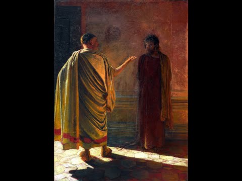 Видео: Лишь свиньи смотрят на нас как на равных