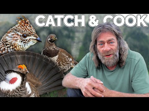 Видео: Охота на рябчиков «Гранд Слэм» — ПОЙМАЙ И ПРИГОТОВЬ