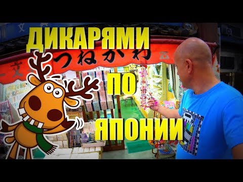 Видео: ДИКАРЯМИ в ЯПОНИЮ! #3 Олени в городе! [4k/UHD]