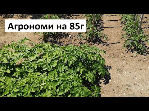 Видео: Агрономи на 85г показват градината си