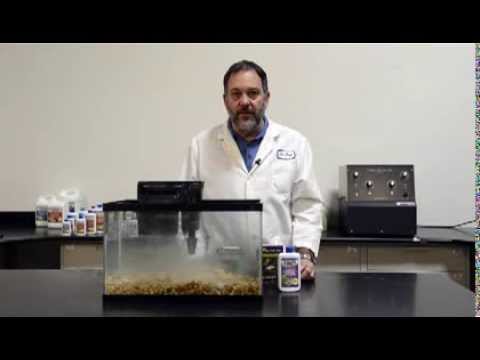 Видео: Как ездить на велосипеде без рыбы — легко и быстро