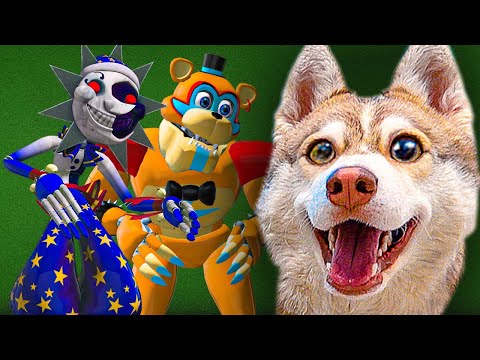Видео: Все серии ФНАФ 9 в реальной жизни! (Хаски бублик) Говорящая собака