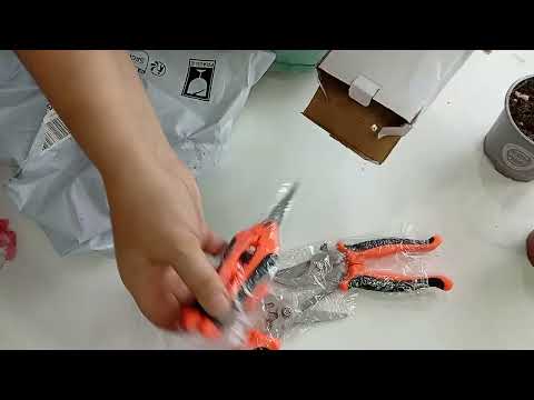 Видео: Новые растения. И распаковка с Тему, все для цветов.