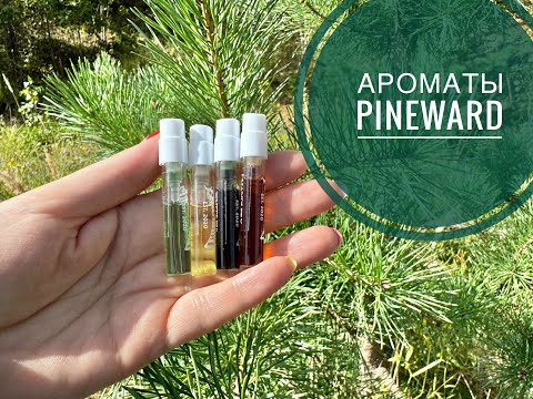 Видео: PINEWARD | Знакомство с новыми ароматами