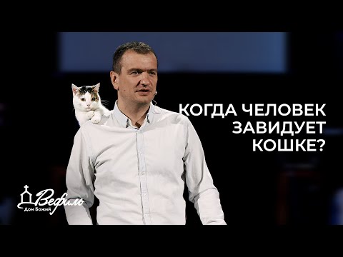 Видео: Когда человек завидует кошке? | Александр Савчук