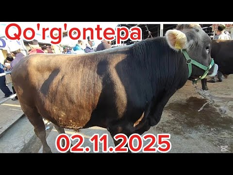 Видео: Коргонтепа хайвон бозори Сотилганлари #vodiydansado #tezkor #yangiliklar #uzbekistan #Qo'rg'ontepa 