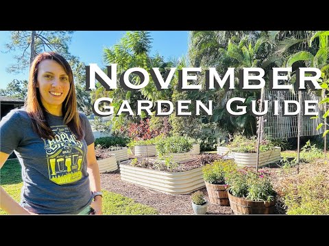Видео: Путеводитель по садам за ноябрь: полное руководство по садоводству во Флориде