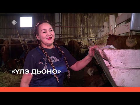 Видео: «Үлэ дьоно» (12.03.23)