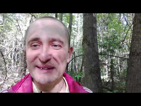 Видео: ИСККОН и Гаудия Матх -  круговая порука