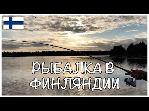 Видео: РЫБАЛКА В ФИНЛЯНДИИ НА СПИННИНГ  || МОЙ ПЕРВЫЙ ОПЫТ