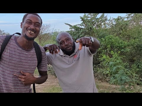 Видео: Присоединяйтесь к птицеводству и жареной рыбе и птице после урагана