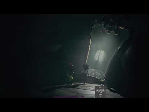 Видео: Знакомимся с пауками!