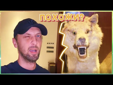 Видео: IRL СТРИМ ЗУБАРЕВА, ОБЗОР НОВОГО ОТЕЛЯ В YANGSHUO#zubarefff #зубарев #китай