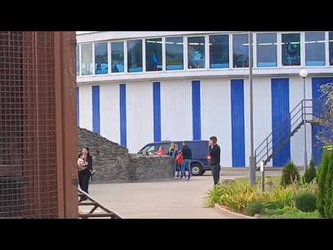 Видео: RYNL3015 Видео от опекуна Светланы