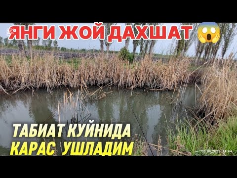 Видео: 5- апрел  овга чикдим Карас овладим балик ови