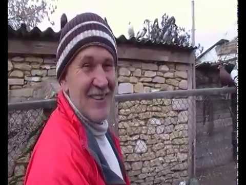 Видео: В гостях у Юры пос. Ново - Васильевка .Снигиревский  рн ч.(1). 27.02.2017.