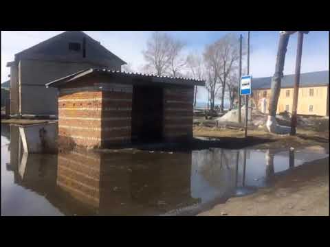 Видео: Хабаровск.  П.  Маго тонет от паводка.  Передвижение людей по посёлку. ЧС.