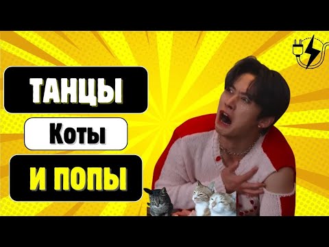 Видео: LEE KNOW (Минхо) из Stray Kids — айдол и танцор, который покорил всех | Батя разбирает