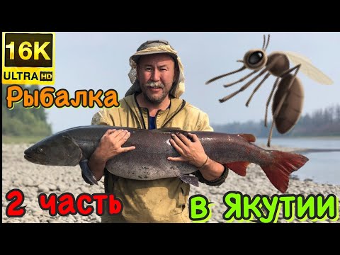 Видео: 🦟 2 ЧАСТЬ ⛺️На водомёте поднимаемся по горной реке в ЗИМОВЬЕ🦟 ⛺️🚤 вечерняя рыбалка у зимовья 🎣