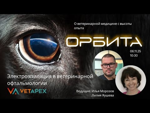 Видео: "ОРБИТА" с офтальмологами Ильей Морозовым и Лилией Яушевой
