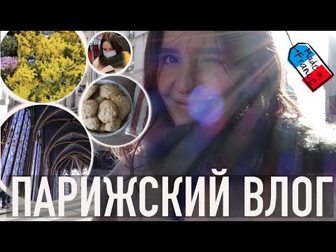 Видео: ♥️ПАРИЖСКИЙ ВЛОГ - КРАСИВЕЙШАЯ СЕН-ШАПЕЛЬ,🤪ПРОТЕСТНЫЕ РЕАЛИИ И САМОЕ ВКУСНОЕ ПЕЧЕНЬЕ🍪👩🏻‍🍳