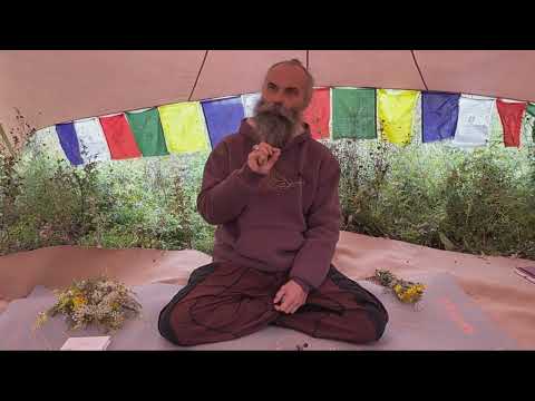 Видео: Алтайская встреча. Сатсанг. Дмитрий Михайлов