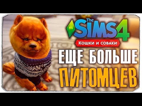 Видео: БЕРЕМ НОВОГО ПИТОМЦА? - The Sims 4 "Кошки и Собаки" ▮