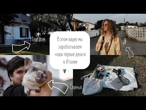 Видео: работа идет, зарабатываем деньги в Италии -  влог из жизни