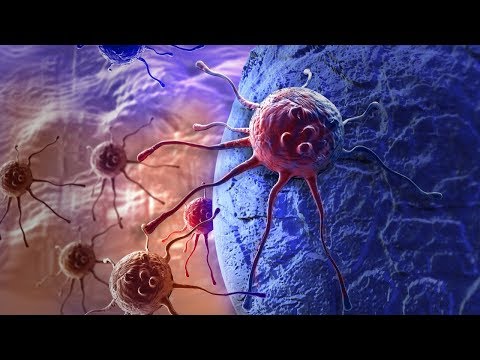 Видео: 5.2. S9: Исследования, обосновывающие доклиническую оценку