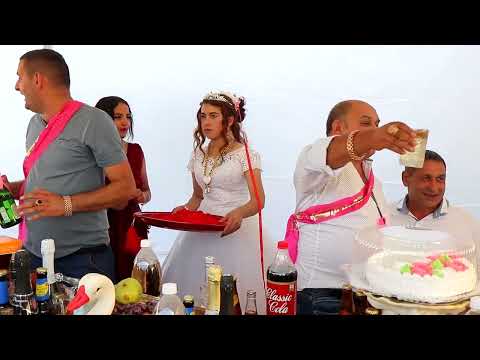 Видео: 25 ноября 2022 г.