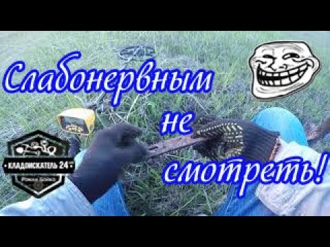 Видео: Поиск металлолома GARRETT ACE 250