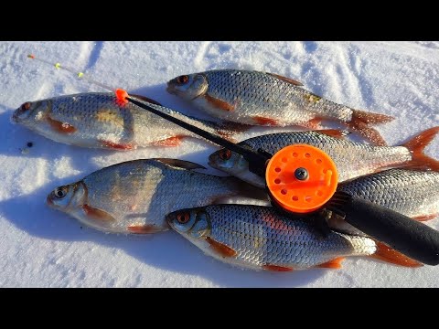 Видео: ЭТА НАСАДКА КОСИТ ТОЛЬКО КРУПНУЮ ПЛОТВУ!!!!! Рыбалка на плотву зимой