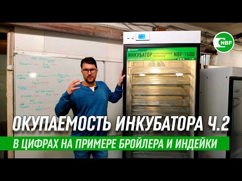 Видео: Окупаемость инкубатора в цифрах