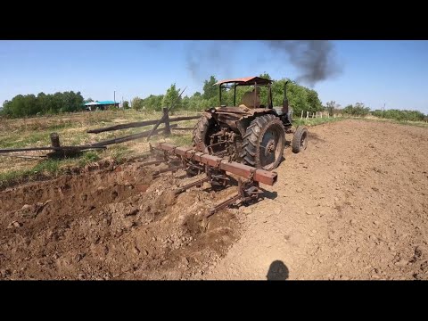 Видео: Сажаю картошку на МТЗ-50 с помощью плуга! Буксую на ЗИЛ-130! УРАЛ манипулятор в помощь!