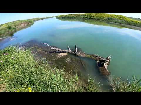 Видео: Рыбалка на реке. Егорлык "Подкова" Ставропольский край. Окунь, Щучка и Коты Матроскины.Крутая дорога