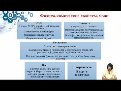 Видео: Лекция 9. Биохимия мочи.