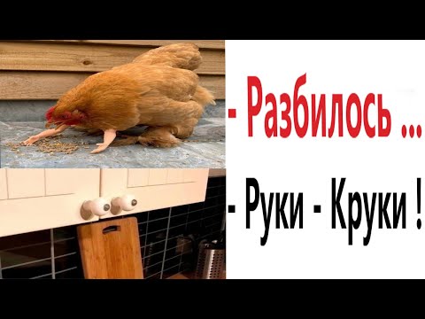 Видео: ПРИКОЛЫ! РУКИ 99 УРОВНЯ - МЕМЫ!!! Смешные видео – Доми шоу!