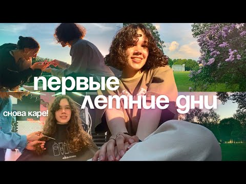 Видео: каре, летний Петербург, домашние дни