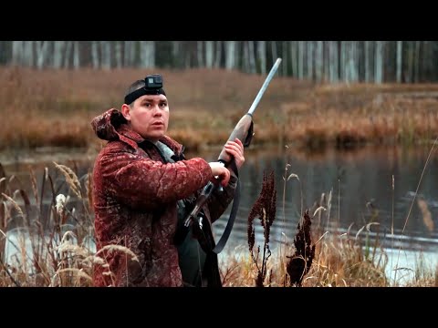Видео: Утки на торфяных болотах Удмуртии — что ждать охотнику ранним утром?